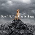 Biodegradable Corn Starch Leak Proof Dog Poop Bags