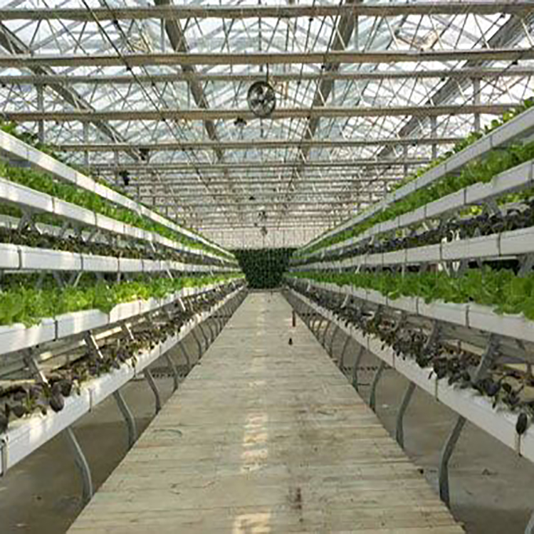 A hydroponics system