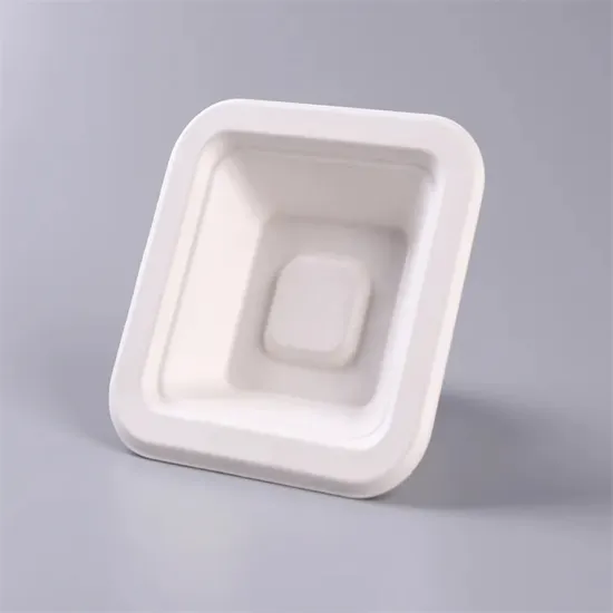 Molded Paper Pulp Food Serving Tray Cake Holder