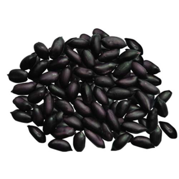 High Yield Excellent Quality Black Peanut Seeds For Growing