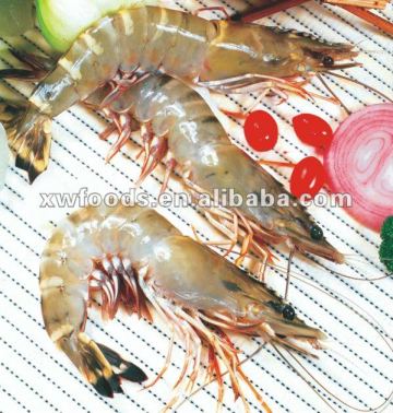 Vannamei Prawn