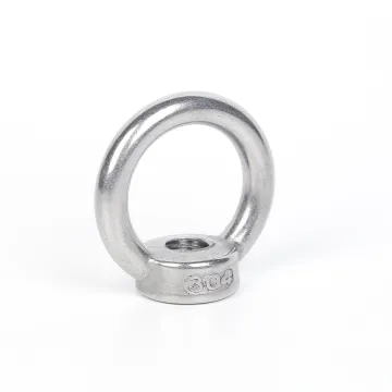 Stainless Steel M10 Eyebolt