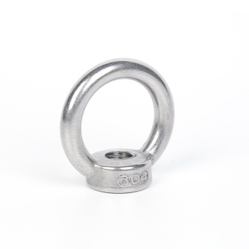 Stainless Steel M10 Eyebolt