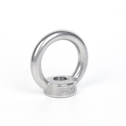 Stainless Steel M10 Eyebolt