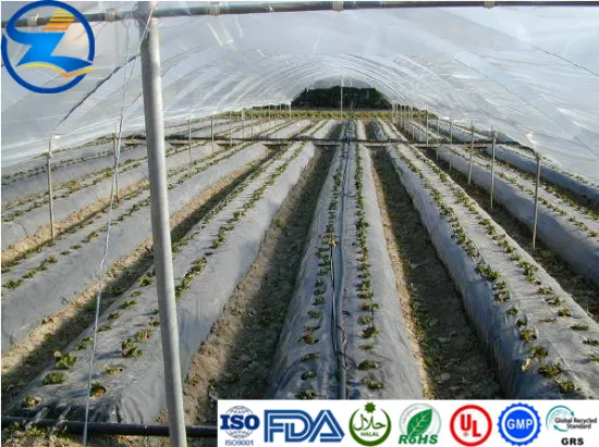 Recyclable LDPE Agriculture Cover