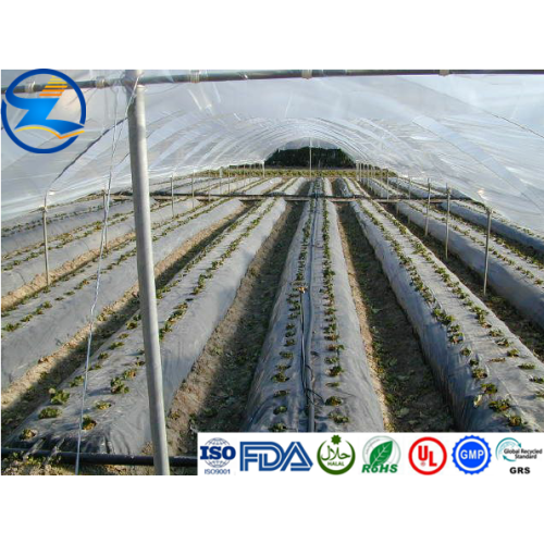 Cobertura Agrícola LDPE Reciclável