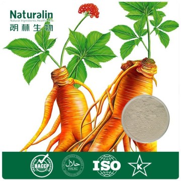 100% natural korean ginseng extract for soft capsules with 20% ginsenosides by HPLC