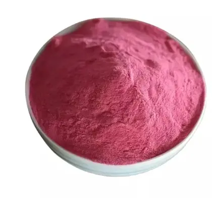 Wholesale cranberry fruit powder
