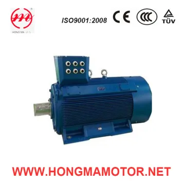 Hm Series Low-Voltage Large-Power Totally Enclosed Squirrel-Cage Motor