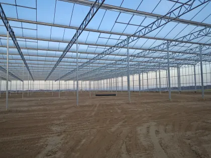 Classic Sunshine Glass Greenhouse1