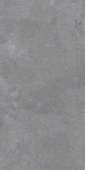 Matt Finishing 600x1200mm Porcelain Tiles for Wall