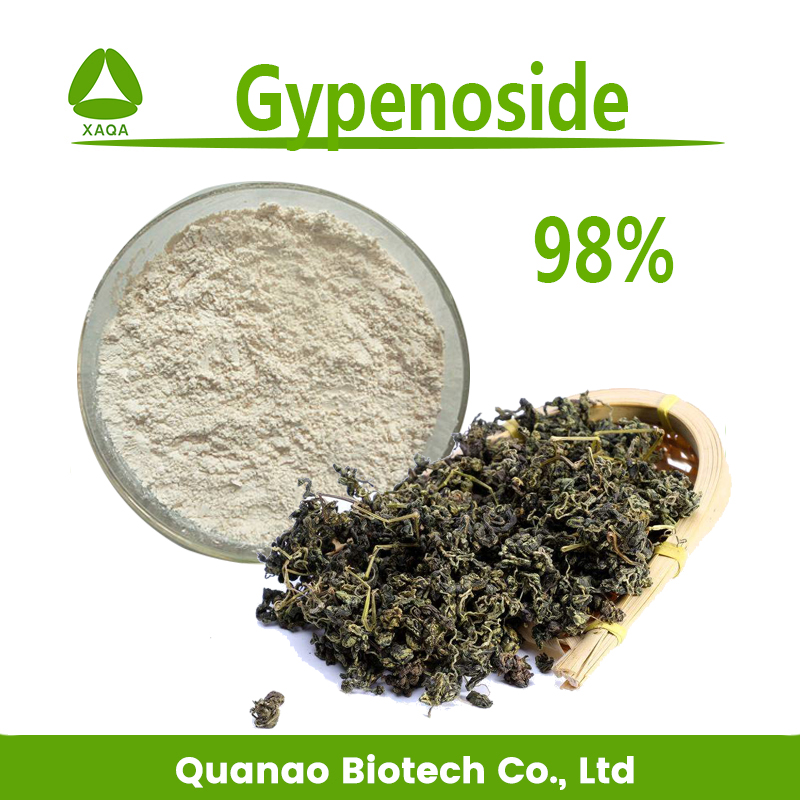 Gynostemma pentaphyllum blad extract gypeenoside 98% poeder