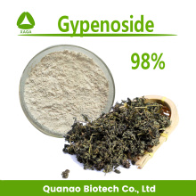 Gynostemma Pentaphyllum extrait de feuille Gynoside 98% poudre