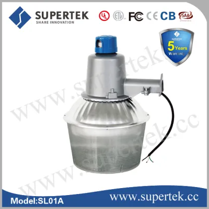 induction lamp security light