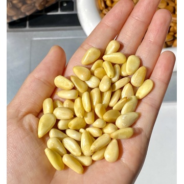 Delicious 500g Pine Nut