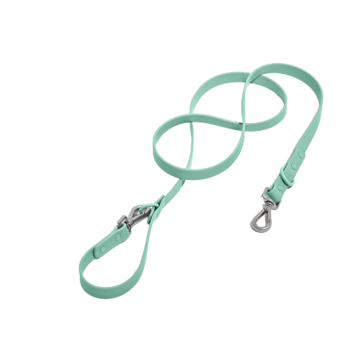 Nylon Sewn Leather Pet Extension Leash Sustainable Feature