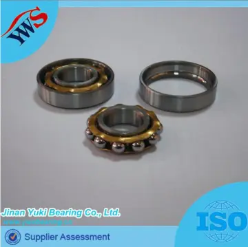 E4 Copper Cage Magnetic Motor Bearing