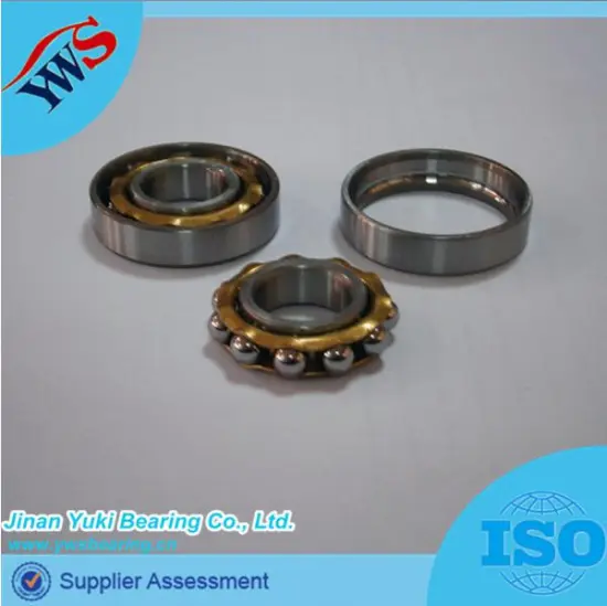 E4 Copper Cage Magnetic Motor Bearing