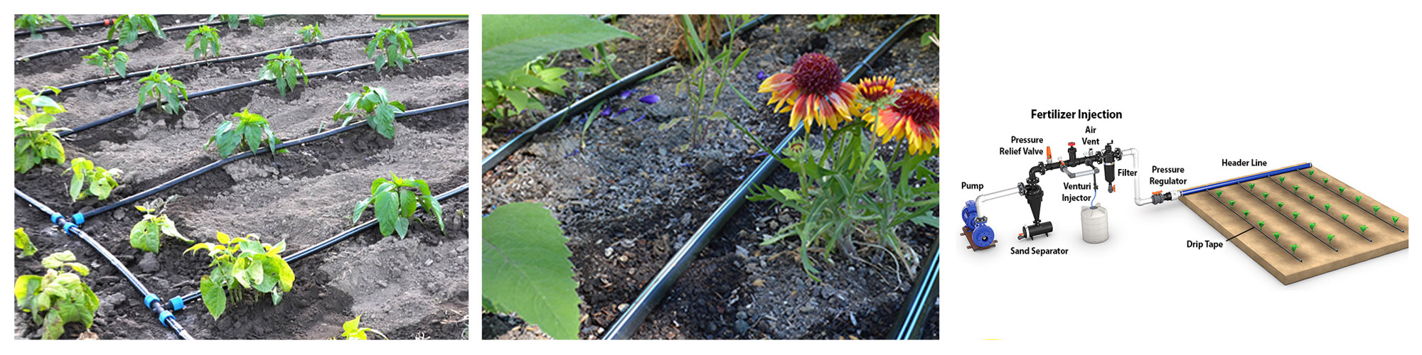 Water and fertilizer savings of 60%-80%