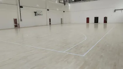 Enlio Professional Modular Sports Wooden Floor