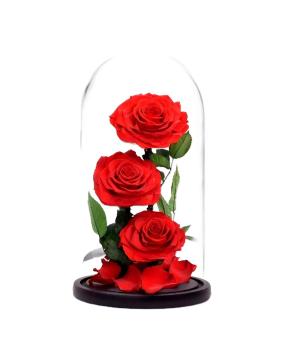Dôme en verre rose préservé Petit Prince 3