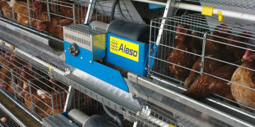Layer chicken cage for chicken farm