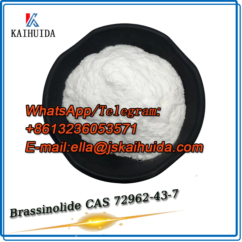 Plant Growth Regulator Brassinolide CAS 72962-43-7