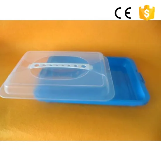 Clear PP Plastic Cake Box Plastic Cake Packaging