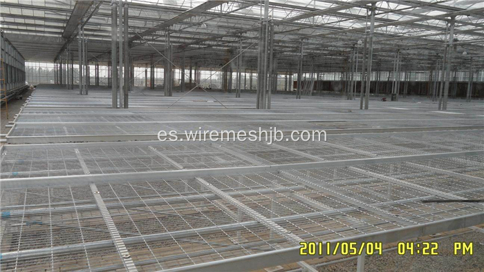 Seedling Bed Mesh- Galvanized Welded Mesh Sheets