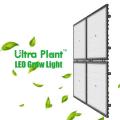 Green House Equipment 300W LED Grow Light