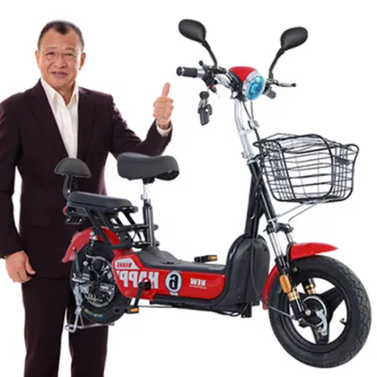 2-Seat 350W Electric Utility Vehicle: Scooter Bicycle for Uomo