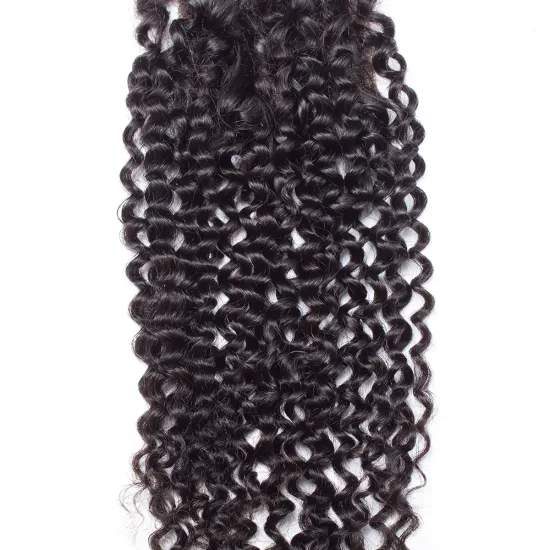4x4 Natural Pre Plucked Brazilian Curly Wavy Human Hair Lace Closure Free Part Human Hair Lace Top Closure