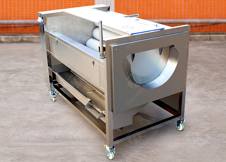 potato washing peeling machine