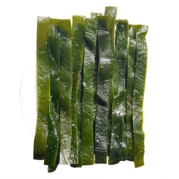 Hot Sale Salted Kelp Strip Seaweed Laminaria Japonica