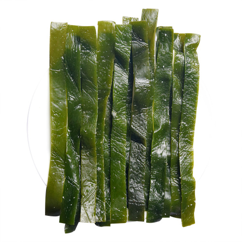 Top Sale Salted Kelp strip laminaria Koumbu