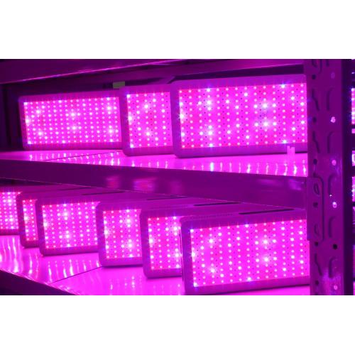 Efek Pencahayaan Tinggi LED Grow Light