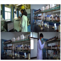 API Chemical Clobetasol Propionate Raw Powder CAS 25122-46-7