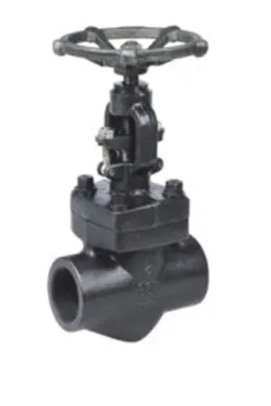 China Forged Steel Globe Valves: API 602