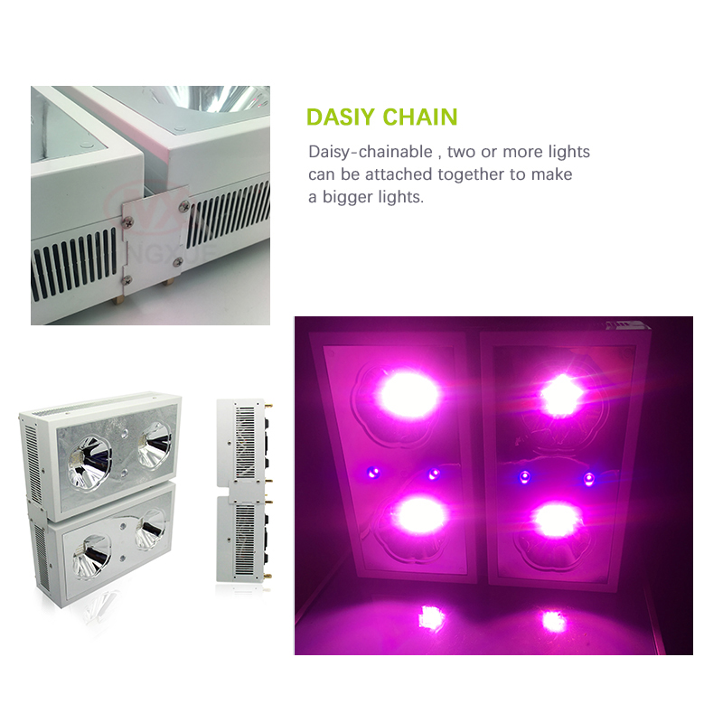 Quiet fanless led grow light 500W