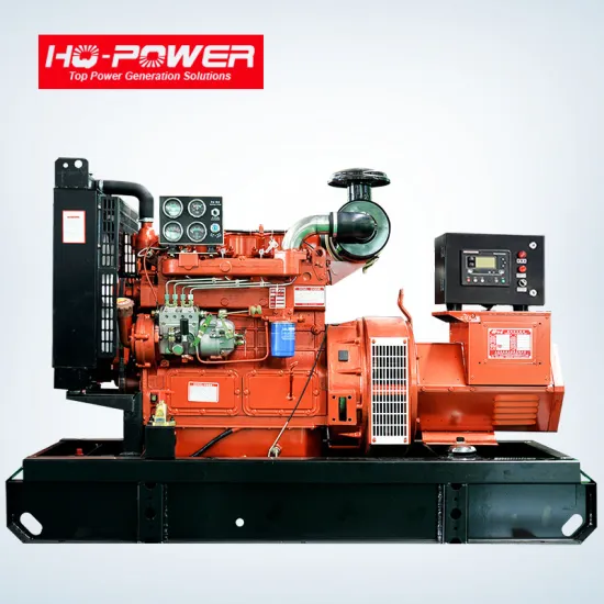 Electric Generator with key start