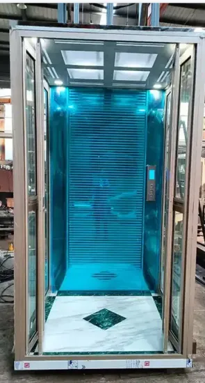 Electric Residential Cheap Elevator