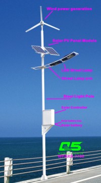 WPSRR-7706 3~15m Municipal Road Hot DIP Galvanized Steet Light Pole style