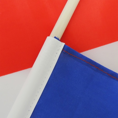 Best selling national French custom hand held flags