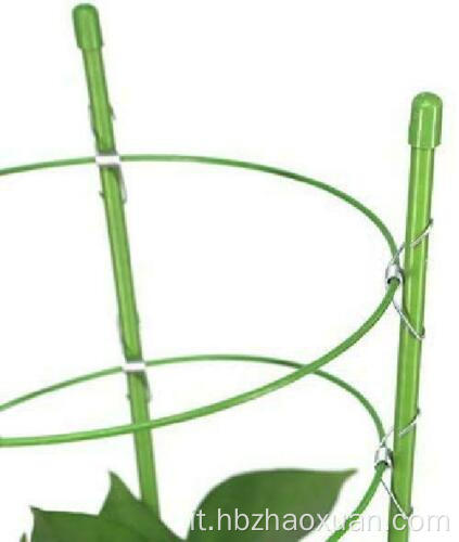 Supporto per impianti di arrampicata Trellis Tomato Flower 3 Anelli