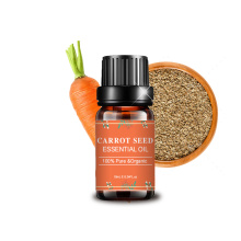 Distilled Extract Pure Carrot Seed Essential Oil Wholesale