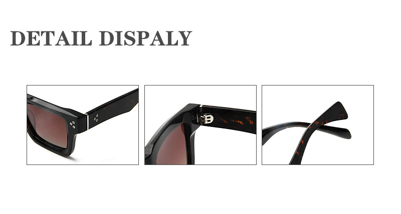 Mellume Wide Paddle Temples Bold Acetate Sunglasses ME2089-detail