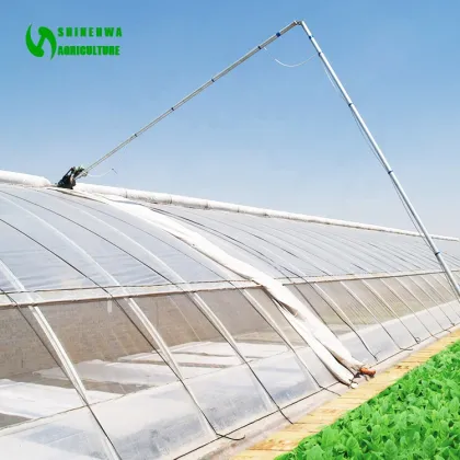 Passive Solar Greenhouse with Soil/Earth/Brick Walls for Cold Winter Agriculture in Canada