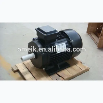 Y2 electric water pump motor