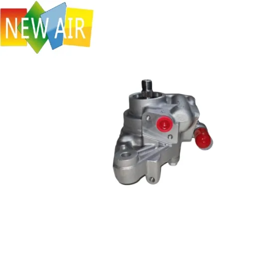 Steering Pump 56110-P30-020