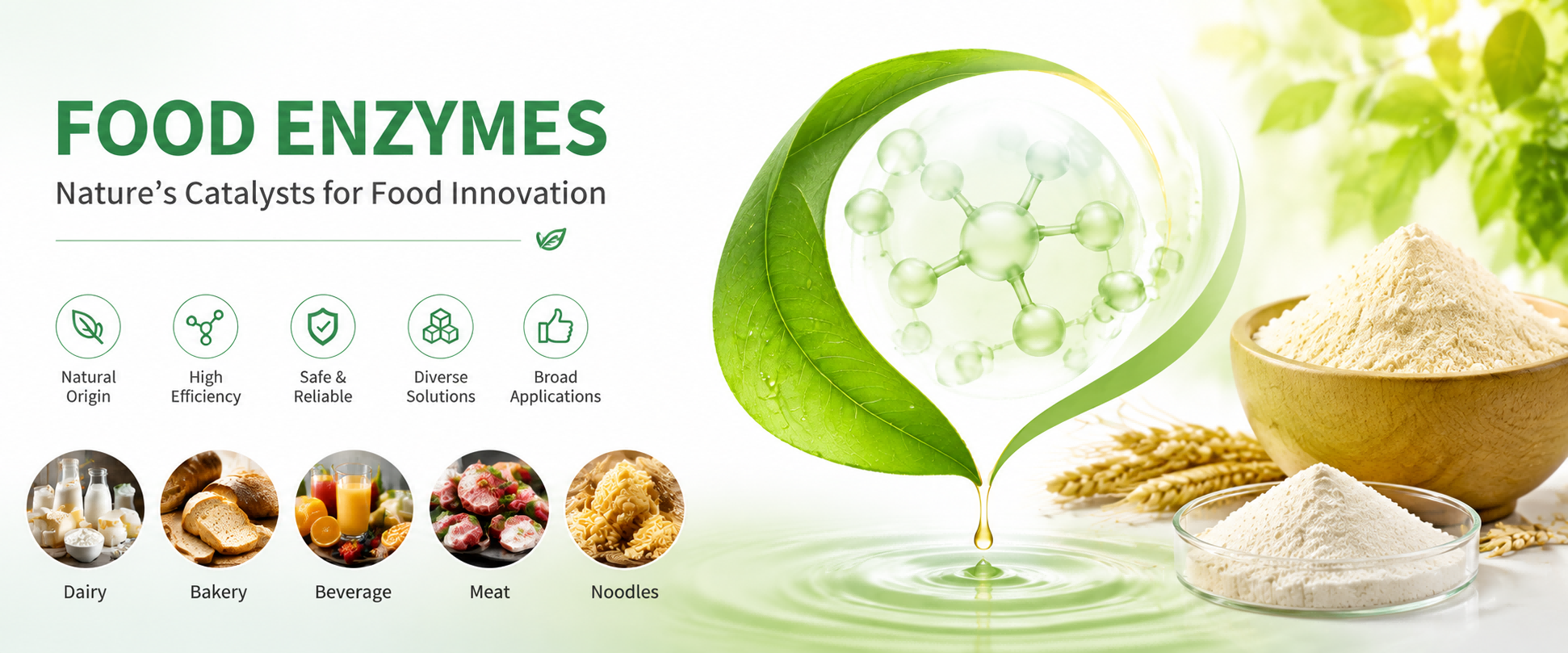 Food enzymes